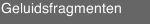 Geluidsfragmenten 