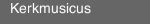 Kerkmusicus