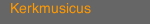 Kerkmusicus